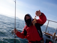 遊漁船 幸友丸 釣果