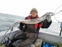 おおせき丸 釣果