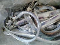 おおせき丸 釣果