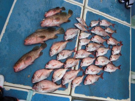 十八宝洋丸 釣果