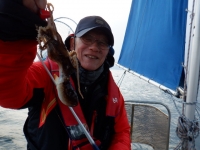 遊漁船 幸友丸 釣果