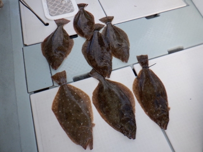 遊漁船 幸友丸 釣果