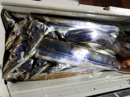 オーフリー 釣果