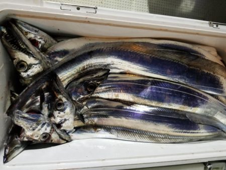 オーフリー 釣果