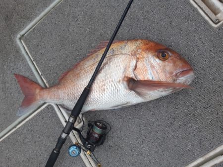 飛燕さくら丸 釣果