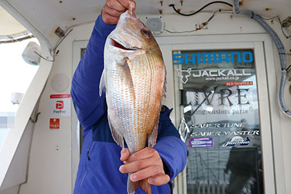 松本釣船２ 釣果