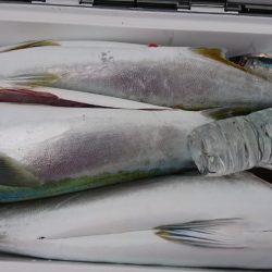 海龍丸（福岡） 釣果