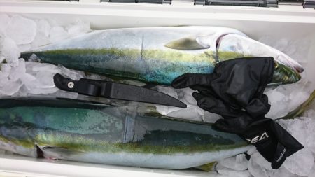 海龍丸（福岡） 釣果