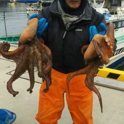 モンロー号 釣果