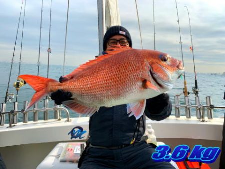 オーシャンマスター 釣果