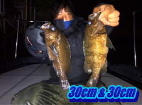 オーシャンマスター 釣果