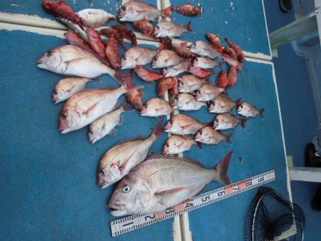 十八宝洋丸 釣果