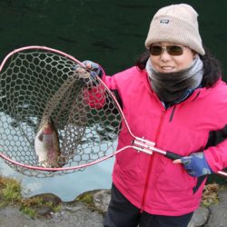 小菅トラウトガーデン 釣果