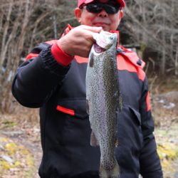 小菅トラウトガーデン 釣果