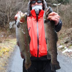 小菅トラウトガーデン 釣果