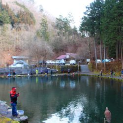 小菅トラウトガーデン 釣果