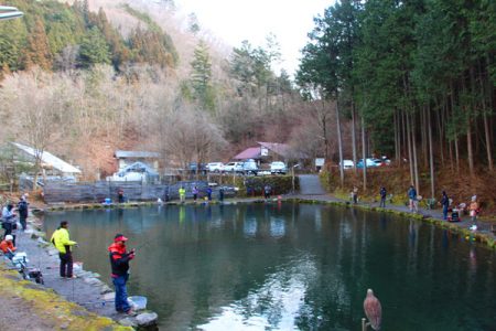 小菅トラウトガーデン 釣果