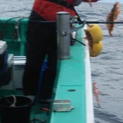 モンロー号 釣果