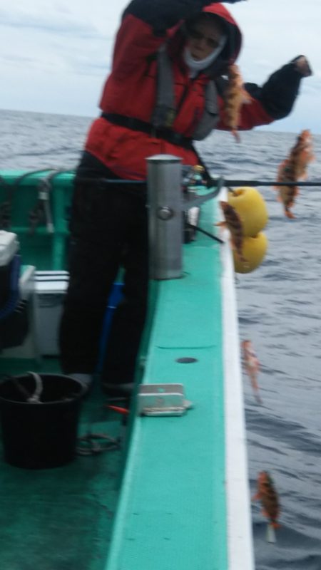 モンロー号 釣果