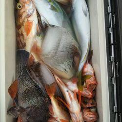 モンロー号 釣果