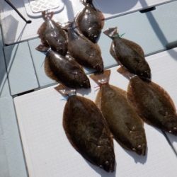 遊漁船 幸友丸 釣果