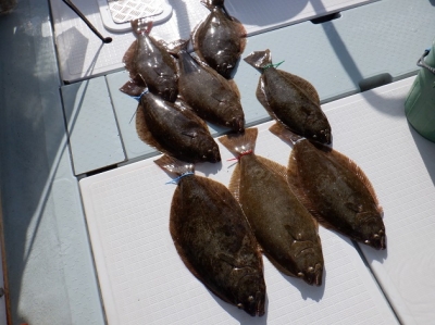 遊漁船 幸友丸 釣果