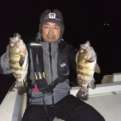 ルアー船マヒマヒ 釣果