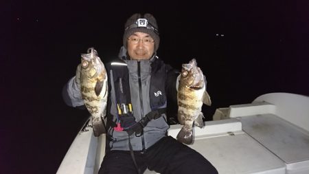 ルアー船マヒマヒ 釣果