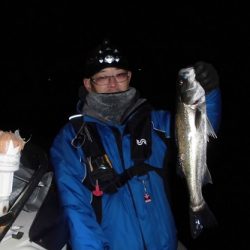 ルアー船マヒマヒ 釣果