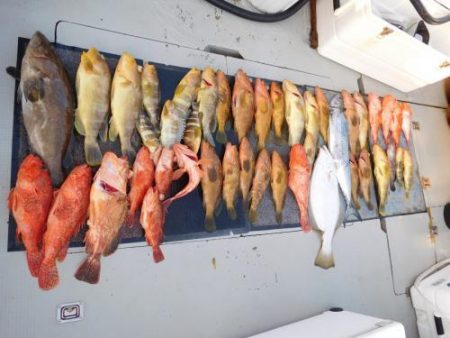 第二一之紀丸(ダイニイチノキマル) 釣果