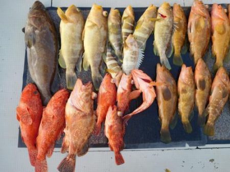 第二一之紀丸（ダイニイチノキマル） 釣果