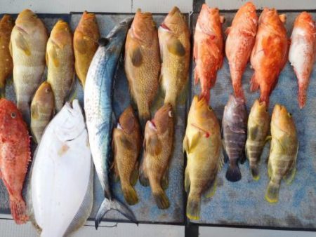 第二一之紀丸(ダイニイチノキマル) 釣果