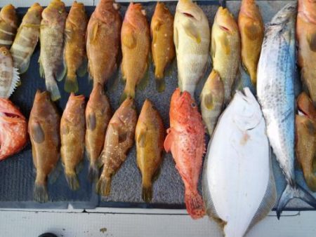 第二一之紀丸(ダイニイチノキマル) 釣果