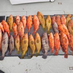 第二一之紀丸(ダイニイチノキマル) 釣果