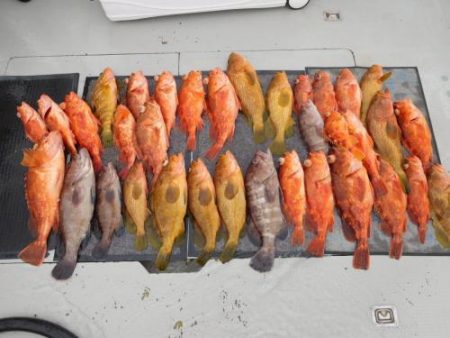 第二一之紀丸(ダイニイチノキマル) 釣果