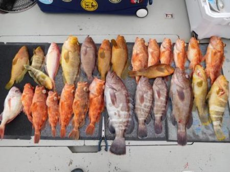 第二一之紀丸（ダイニイチノキマル） 釣果