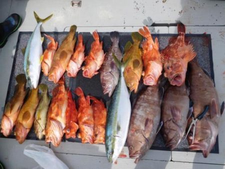 第二一之紀丸（ダイニイチノキマル） 釣果