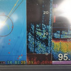 遊漁船 ニライカナイ 釣果