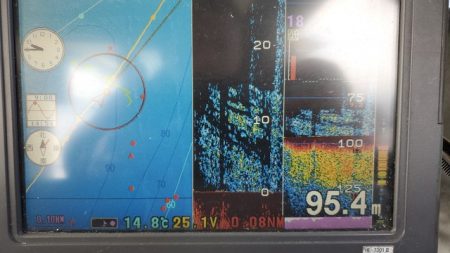 遊漁船 ニライカナイ 釣果