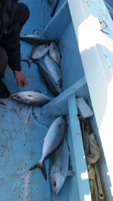 第五慶門丸 釣果