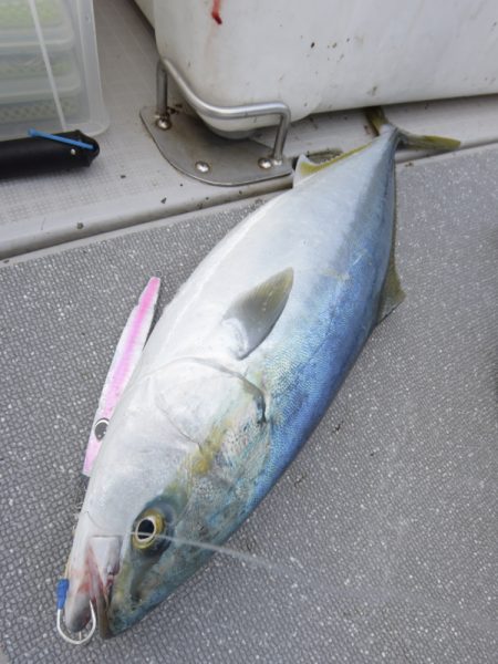 まるいち丸 ZERO-1 釣果