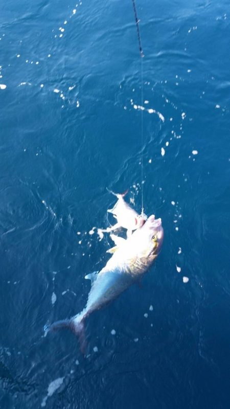 第五慶門丸 釣果