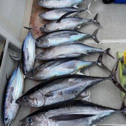 へいみつ丸 釣果