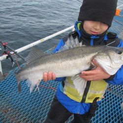 オリジナルメーカー海づり公園(市原市海づり施設) 釣果