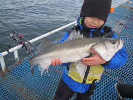 オリジナルメーカー海づり公園(市原市海づり施設) 釣果