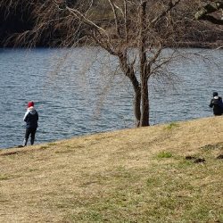 志高湖フィッシング 釣果