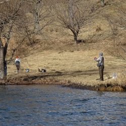 志高湖フィッシング 釣果