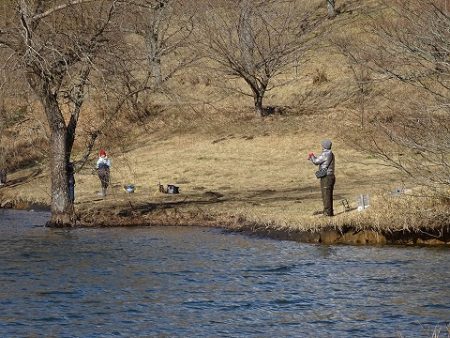 志高湖フィッシング 釣果