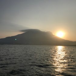 龍神丸(鹿児島) 釣果