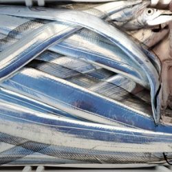 遊漁船 ニライカナイ 釣果